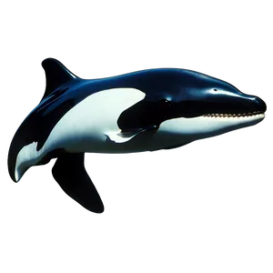 Orca Underwater PNG 05242024