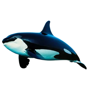 Orca Underwater PNG Vcq7 PNG