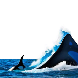 Orca Wave PNG Wvc