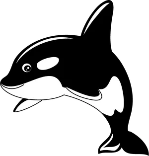 Orca Whale Cartoon Clipart PNG image