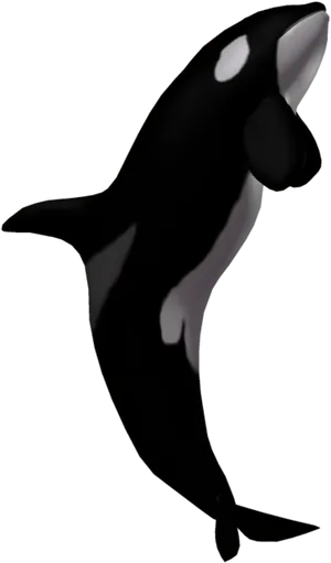 Orca Whale Clipart Illustration PNG image