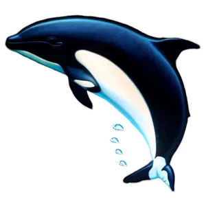 Orca Whale Family Png 06292024 PNG image