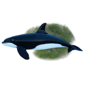 Orca Whale Silhouette At Dusk PNG 9