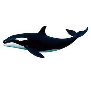 Orca Whale Silhouette At Dusk PNG Ufs