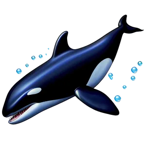 Orca Whale Vector Png 31 PNG image