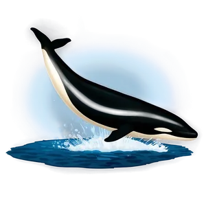 Orca Whale Watching PNG Lpg32