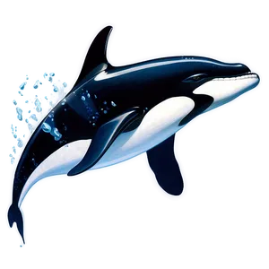 Orca Whale Watching PNG Lwr60