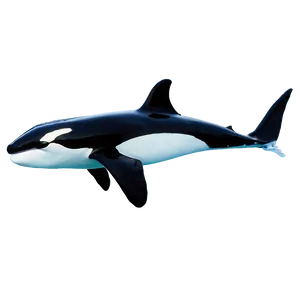 Orca With Aurora PNG 35 PNG