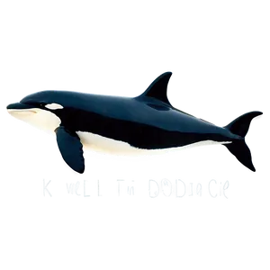 Orca With Dorsal Fin PNG 05242024 PNG