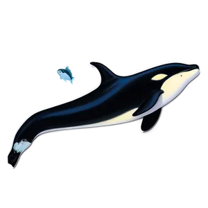Orca With Fish PNG Jce