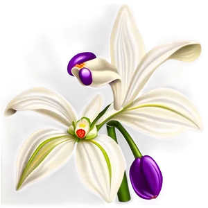 Orchid Art PNG Ivj PNG