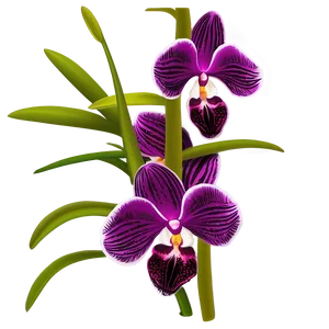 Orchid Bouquet Png Mch PNG image