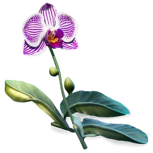 Orchid Emblem PNG Afq64 PNG