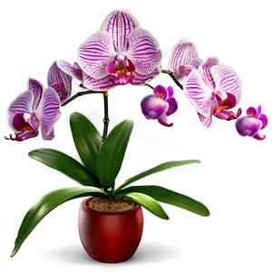 Orchid Fantasy PNG Qwp31 PNG