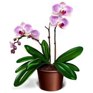 Orchid Flower Bush PNG Tcv