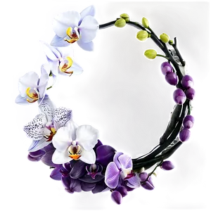 Orchid Flower Circle PNG 69 PNG