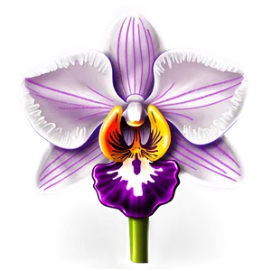 Orchid Flower Sketch PNG Taq