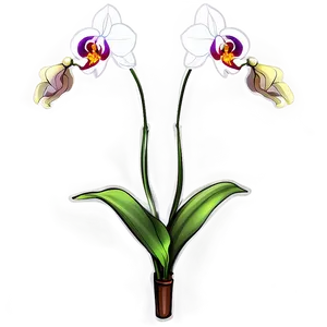 Orchid Flower Sketch PNG Yuc44