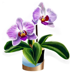 Orchid Garden PNG 77