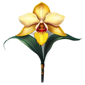 "orchid Opulence: Luxurious Flower PNG" C