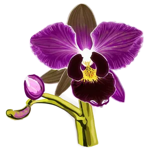 Orchid Purple PNG 05242024