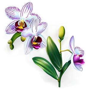 Orchid Spray PNG 92 PNG