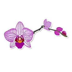 Orchid Sticker Image Png 06272024 PNG image