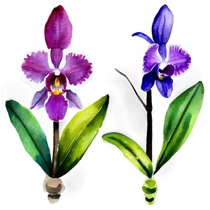 Orchid Watercolor PNG 87