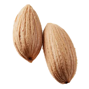 Organic Almond PNG Xkc89