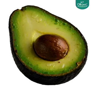 Organic Avocado Half PNG 14 PNG