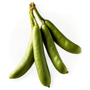 Organic Beans Png 48 PNG image