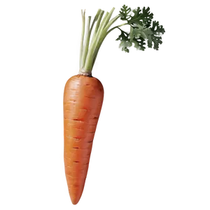 Organic Carrot Png 06132024 PNG image