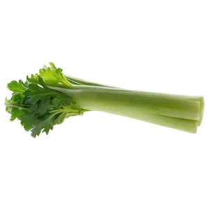Organic Celery Stick PNG 06252024