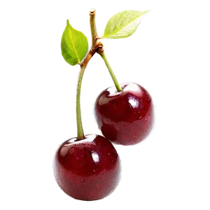 Organic Cherries Png 06212024 PNG image