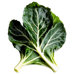 Organic Collard Greens PNG 06252024