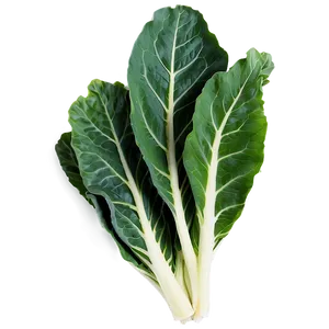 Organic Collard Greens PNG 06252024