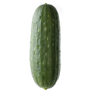 Organic Cucumber PNG Uns17 PNG