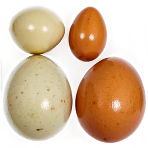 Organic Eggs PNG 31