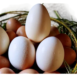 Organic Eggs PNG Pvx24