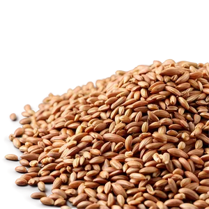 Organic Einkorn Wheat Berries Png Bmm PNG image