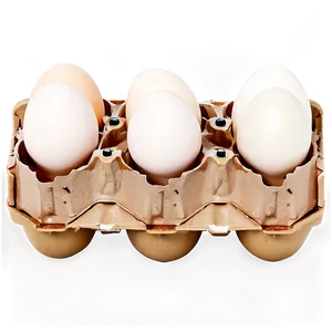 Organic Farm Fresh Eggs PNG 92 PNG