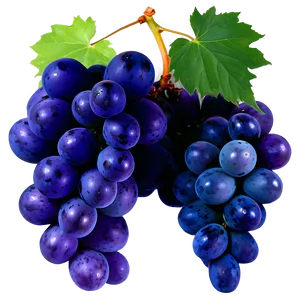 Organic Grape PNG Elp