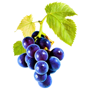 Organic Grape PNG Vhn1