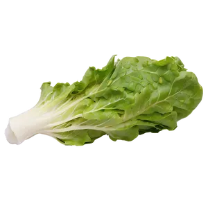 Organic Green Lettuce Png Byw PNG image