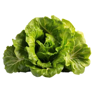 Organic Green Lettuce Png Iid PNG image