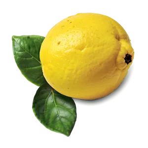 Organic Lemon PNG 58