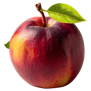 Organic Nectarine PNG Ccm PNG