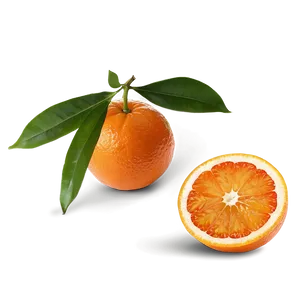 Organic Oranges PNG Fft1 PNG