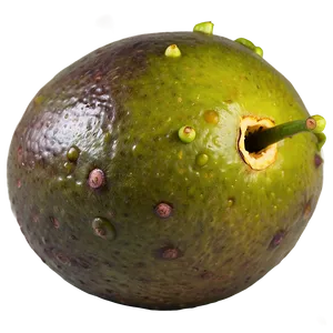 Organic Passion Fruit Harvest PNG 61
