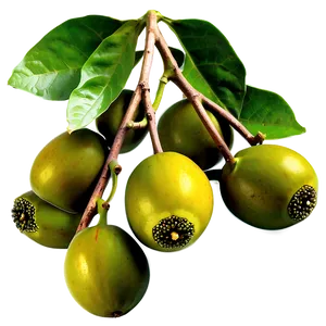 Organic Passion Fruit Harvest PNG Pom PNG
